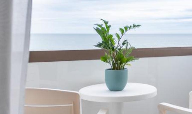 Balcone con vista mare, piante e sedie bianche.